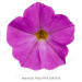 Петхоа BeautiCal Pretty Pink (Os)
